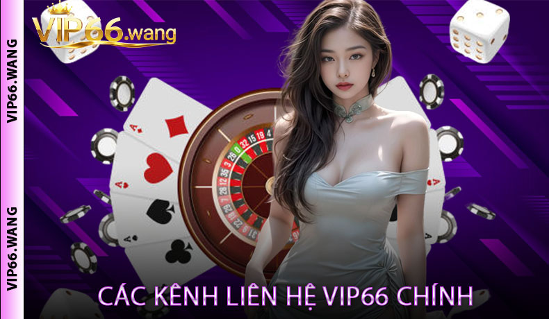 Các kênh liên hệ VIP66 chính