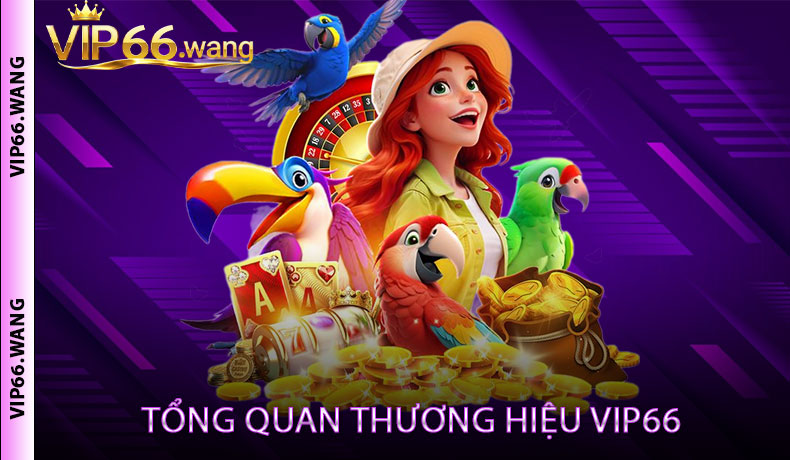 Tổng quan thương hiệu VIP66
